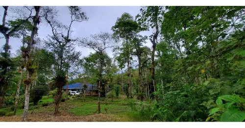 Finca En La Ruta Dapa A Bitaco La Cumbre