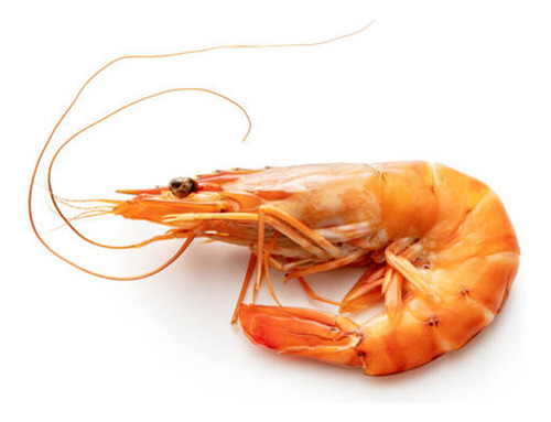 1 Kg Camarón Seco / Oreado Istmeño