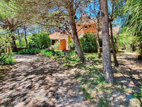 Vendo Casa 4 Dormitorios, Terreno 3.000 M2, Piscina, En Brava, Punta Del Este