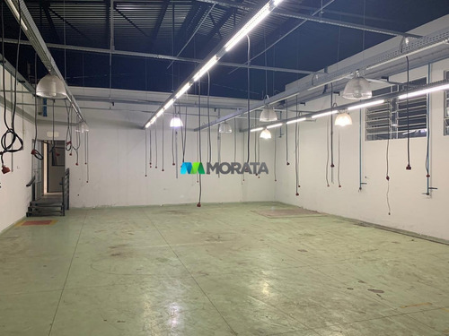 Imagem 6 de 15 de Galpao - Industrial - Ref: 3354 - L-mta3354