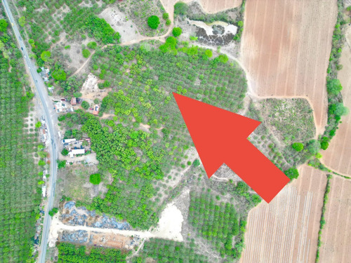 Terreno En Venta En Las Varas, Nayarit