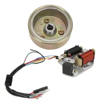 Comprar Kit De Rotor De Volante Magneto Stator Para Motor De 110 Cc