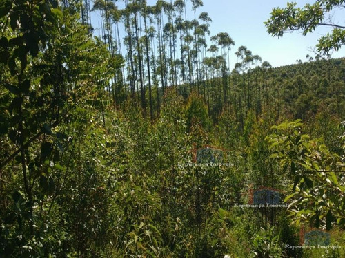 Ref.: 5467 - Area Em Pilar Do Sul Para Venda - V5467