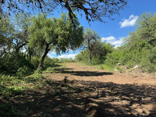 Terrenos A La Venta En San Javier