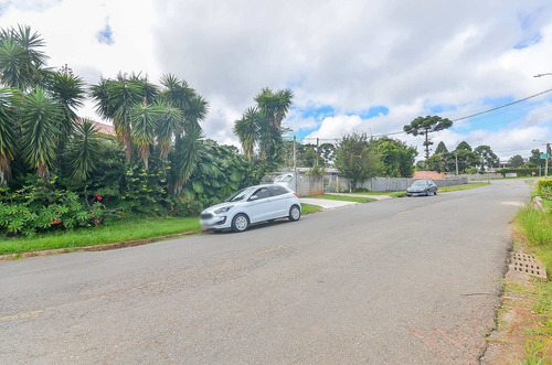 Imagem 4 de 16 de Terreno - Residencial - 930453