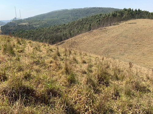Imagem 5 de 14 de 54ne- Terreno 1000m2 R$40.000 Mil -localização Na Descrição