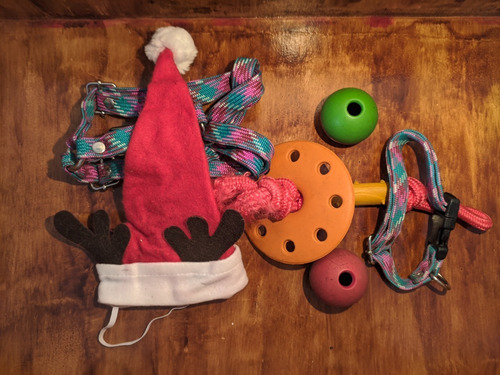 Set De Juguetes Y Correa Para Perros Pequeño A Mediano (Usado)