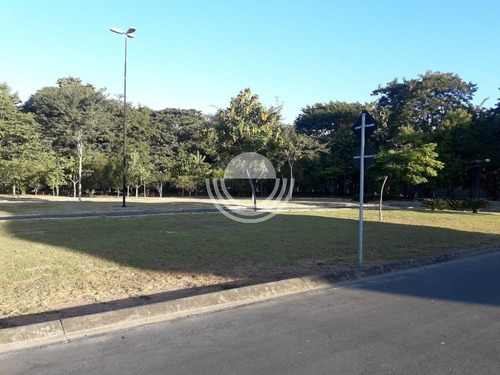 Imagem 14 de 16 de Terreno À Venda Em Cascata - Te006805