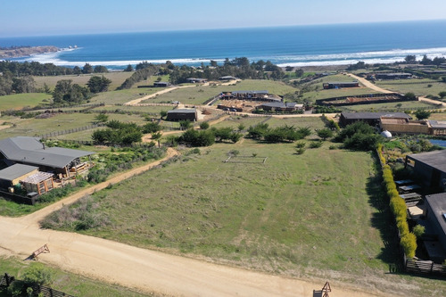 Vista Horizonte Punta De Lobos