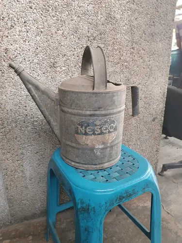 Jarra De Metal De Jardín (Usado)