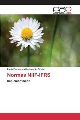 Libro Normas Niif-ifrs - Villavicencio Catota Pablo Ferna...