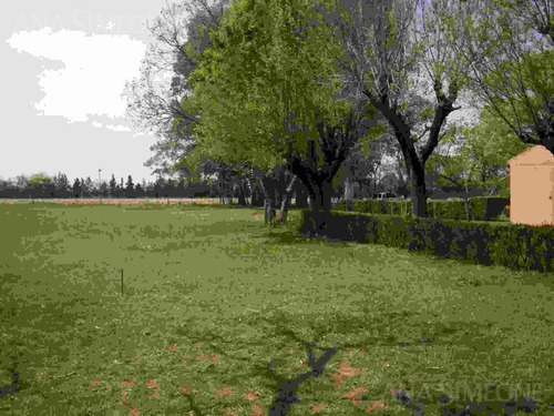 Imagen 8 de 10 de Campo De 81 Ha En Excelente Ubicación Frente A Ruta