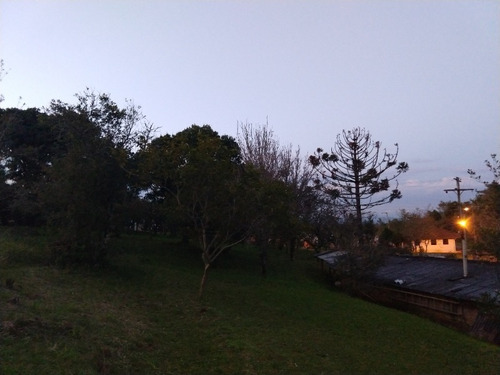 Chácara 10.000 M² - Santa Cruz Da Concórdia - Taquara - Rs - 1875 - 32776313