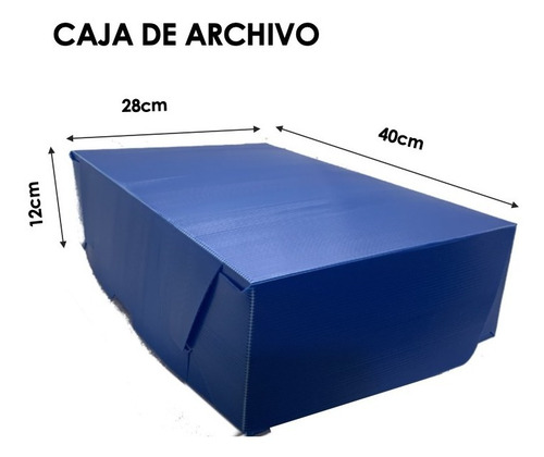 Caja De Archivo De Plástico Corrugado 12x28x40cm (pack 10u.)