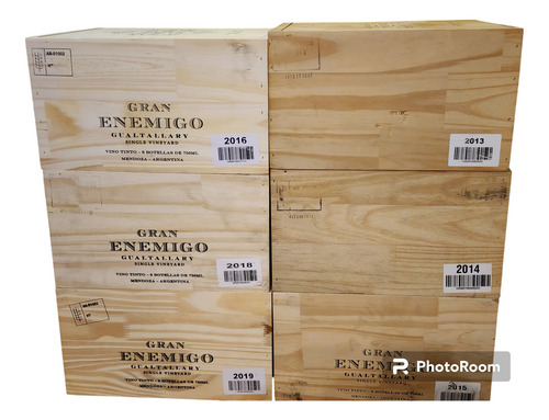 Vertical Gran Enemigo Vertical Gualtallary 2013-2019 100pts