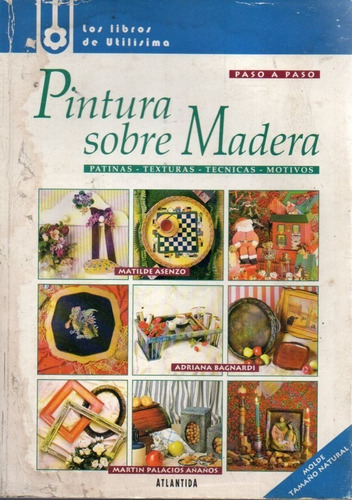 Pintura Sobre Madera Martin Palacios 