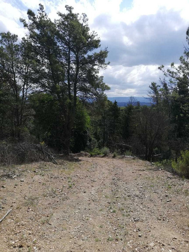 Imagen 8 de 14 de Loteo Pinar De Molina, Lotes A Partir De 3400m2.