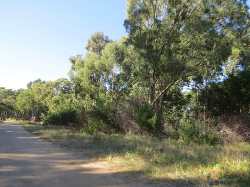 Imagen 3 de 3 de Lote En Venta En Pinamar-zona Alamos Ii