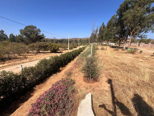 Se Vende Parcela 5.000 Mt2 En Limache  (120865)