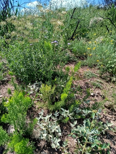 Se Vende Lote La Cumbre