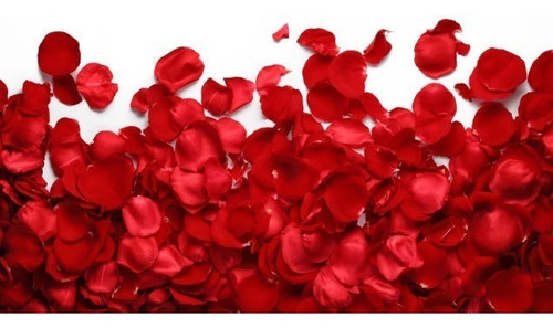1.300 Pétalas De Rosas Artificiais Vermelha Casamento Noivas
