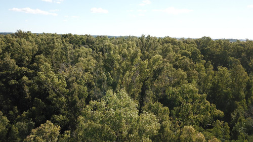 Terreno En Venta En Barrio Los Bosquecitos, Brandsen