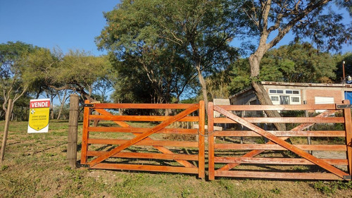 Venta Terreno En San Lorenzo, Sobre La Av. Principal T121sl