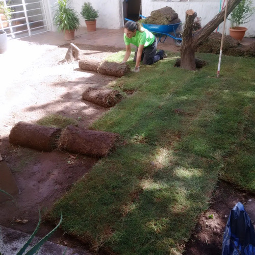 Jardinero-servicio De Jardinería-mantenimiento Áreas Verdes