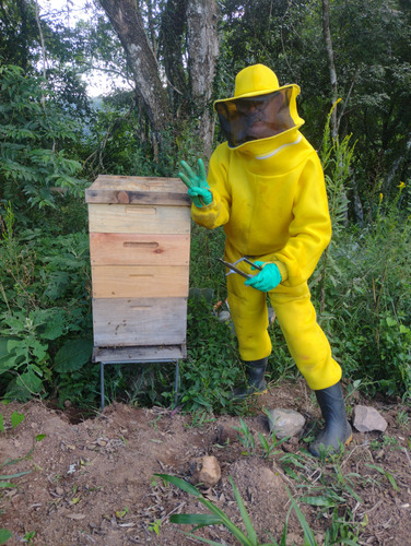 Mel Puro, 100% Natural, Venda Direta Do Apiário