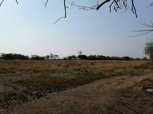 Hectáreas En Venta Veracruz Localidad El Pando, Veracruz.