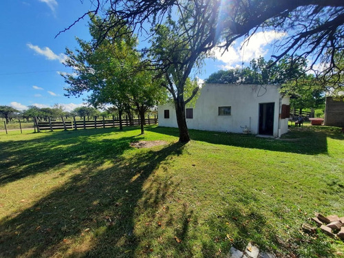 Imagen 1 de 30 de Campo Ganadero En Federal Entre Ríos