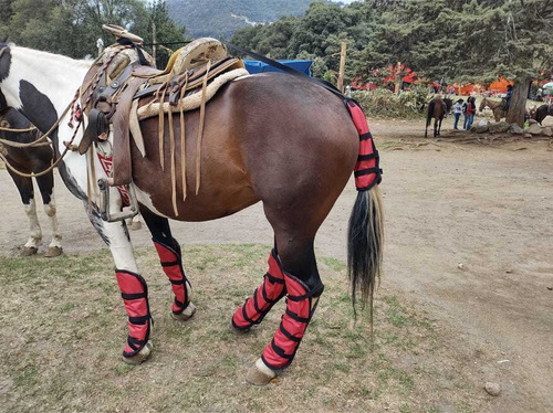 Protectores De Caballo