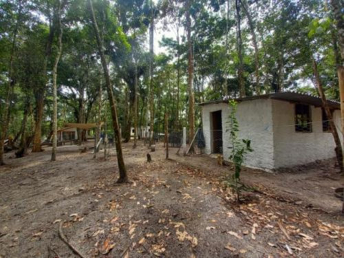 Imagem 19 de 28 de Chácara Com Lago, Galinheiro, Espaço Para Plantação, Espaço Amplo Para Criação De Animais Em Geral E Com 2.925 M² De Área Total, No Jardim Coronel, Em Itanhaém Ref: 9580/ac