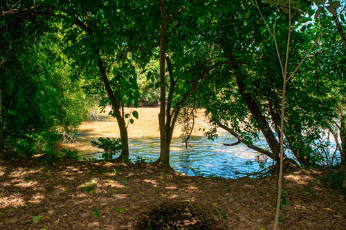 Imagem 7 de 14 de Sítio No Rio Mogi Guaçu - 7.264 Hectares - 72.640 M2