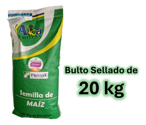 Semilla De Maiz Vs 535 Elotero Riego Y Temporal