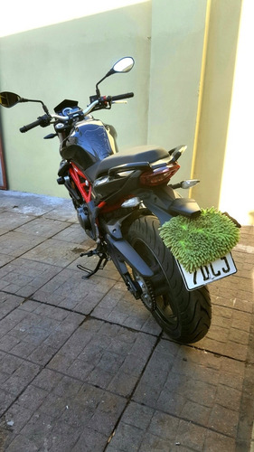 Benelli Tnt 300
