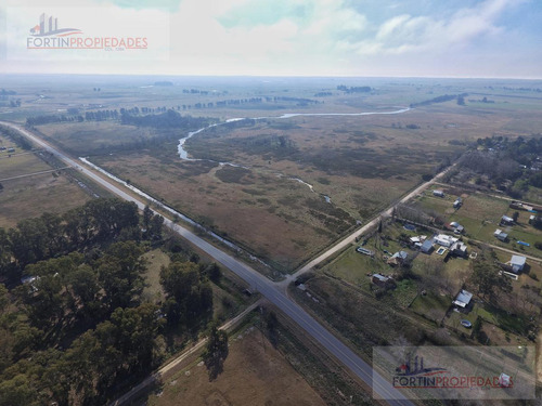 Campo Ruta 11 Km 17  Los Naranjos. Magdalena