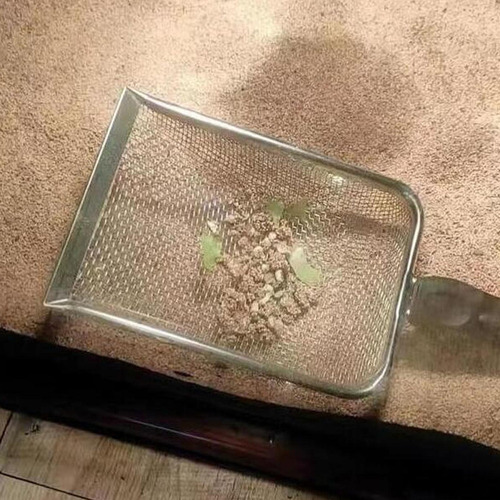 . Pala De Arena For Reptiles , Suministros De Limpieza Para