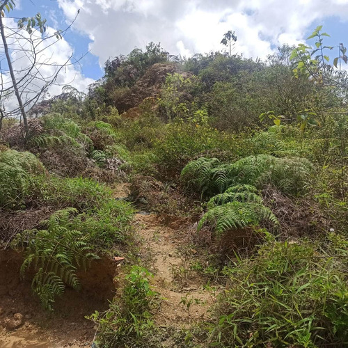 Imagen 11 de 17 de Espectacular Terreno En Venta Para La Construcción De Casa Residencial Club De Campo, Una De Las Mejores Urbanizaciones De Los Altos Mirandinos 23-2939