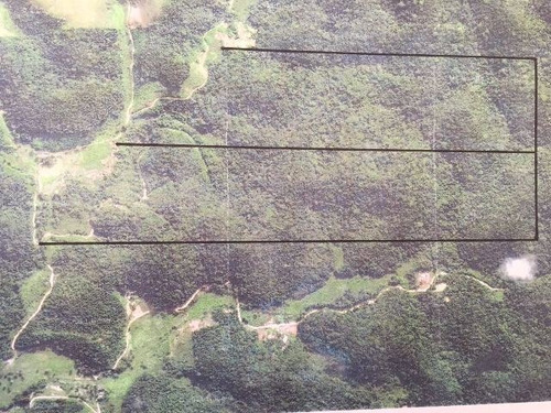 Ampla Área Localizada Na Cidade De Miracatu - 3950 A.c.m