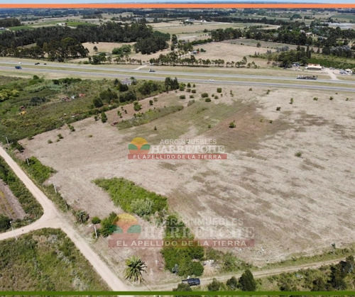 Imagen 10 de 14 de Terreno En Alquiler 44.857 M2 Urbanos Ruta 5 Apto Parque Industrial U$s 0.10 (el M2)