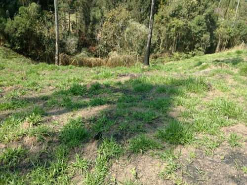 Imagem 4 de 16 de Terreno A Venda No Itaquaciara/mombaça - Te00009 - 32420434