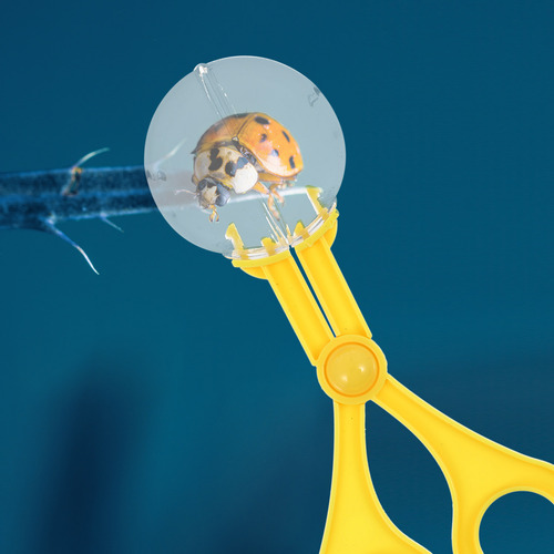 Juego De 4 Pinzas Con Clip Para Animales, Kit De Exploración