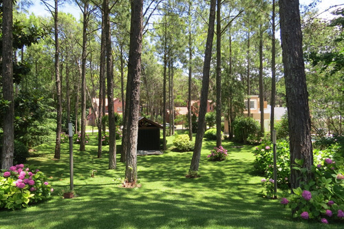 Hermoso Lote - Zona Tridente - De Las Musas - Parquizado - 712 M²