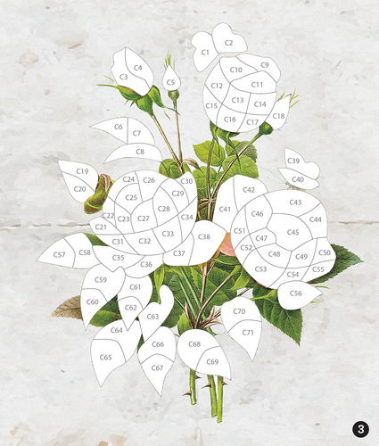 Brain Games - Sticker By Number - Vintage: Flowers