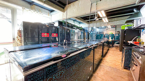 Venta Local Comercial Industrial + 2 Monoambientes