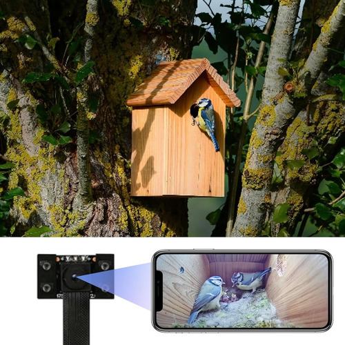 Cámara Wifi Bird Box, 4k Hd Wlan, Video En Vivo Al Teléfono,