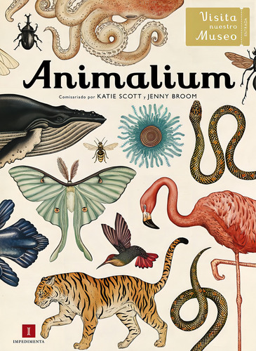 Libro Animalium. - Broom, Jenny/scott, Katie