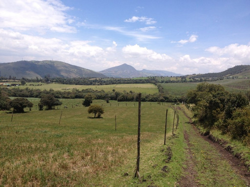 Imagen 4 de 25 de Finca 82.000 Mtrs2 Guasca V. Pastor Ospina.