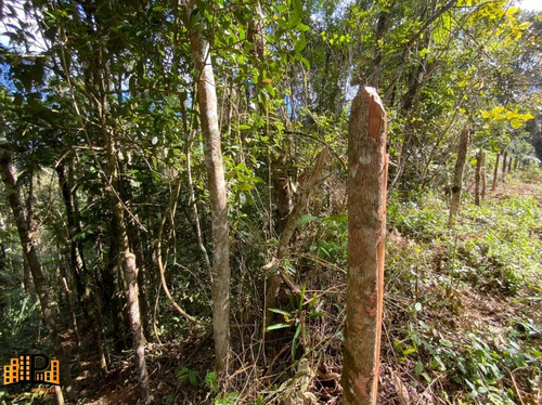 Imagem 10 de 18 de Chácara À Venda 2.749,43m2 Estrada Da Barrinha - São Lourenço/sp - Ch07782 - 69485090